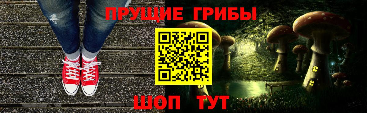 Зеленогорск  магазин продажи   Вход с VPN  Галлюциногенные грибы GOLDEN TEACHER  Галлюциногенные грибы мухоморы 